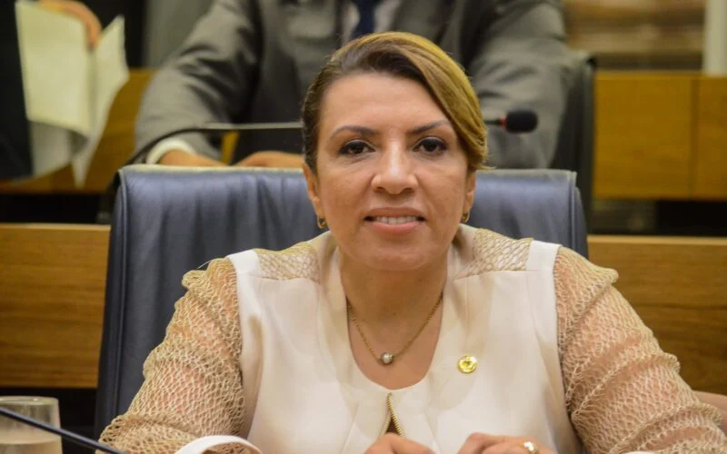 Cida Ramos defende homenagem de escola de samba a Lula e acusa oposição de campanha antecipada com panfletagem